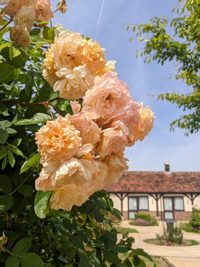 Kingfisher Barn B&B Abingdon-on-Thames Extérieur photo