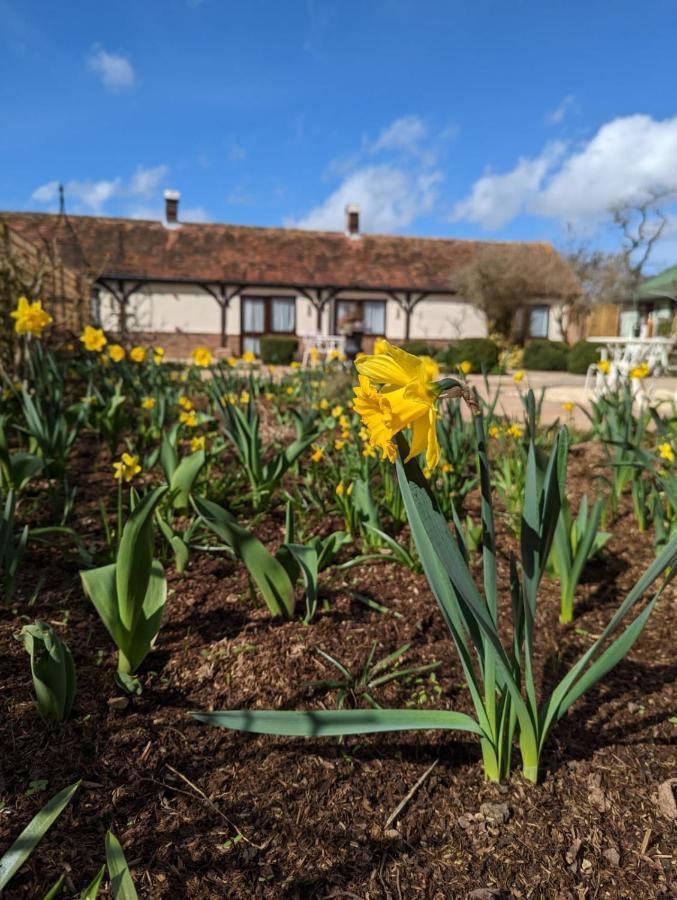Kingfisher Barn B&B Abingdon-on-Thames Extérieur photo